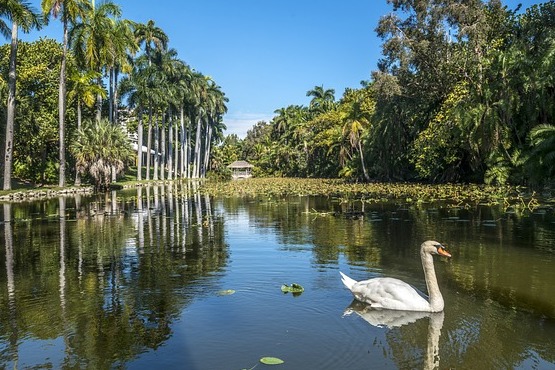 Flughafentransfer in den USA